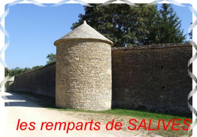 Le Puits Fortifie Salives Экстерьер фото